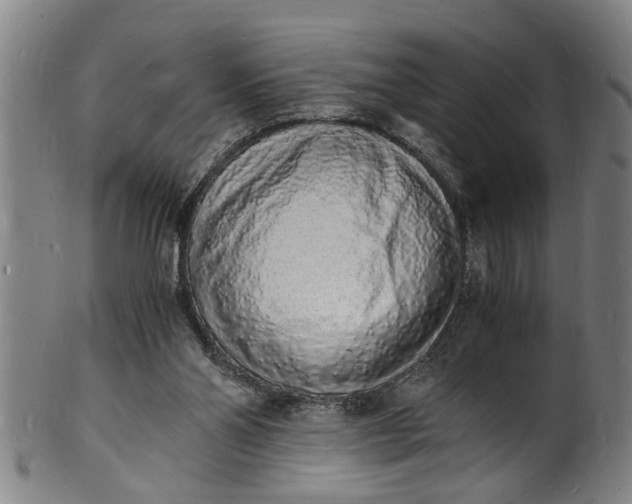 X0000101670110200807241450