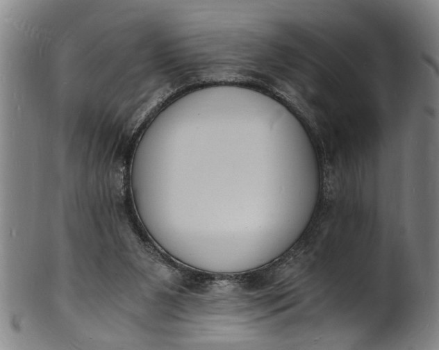 X0000101670111200807241450