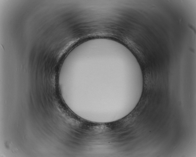 X0000101670112200807241450