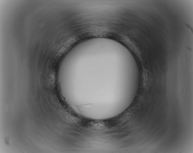 X0000101670113200807241450