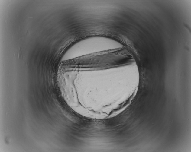 X0000101670114200807241450