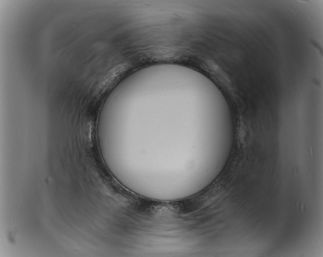 X0000101670115200807241450