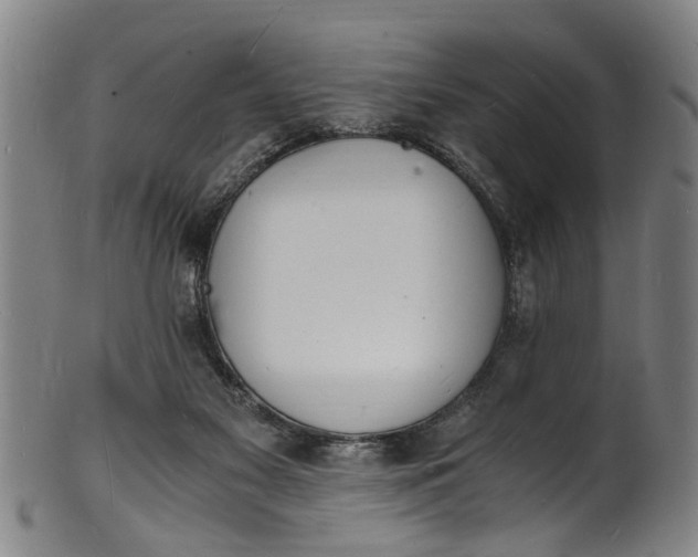 X0000101670117200807241450