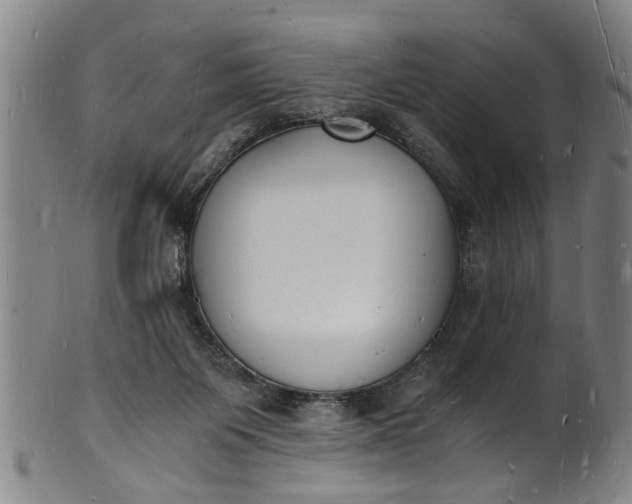 X0000101670119200807241450
