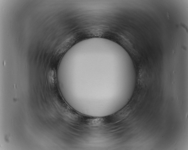 X0000101670122200807241449