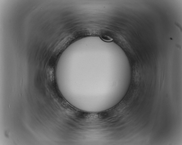 X0000101670123200807241449