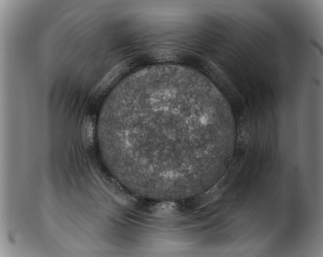 X0000101670124200807241449