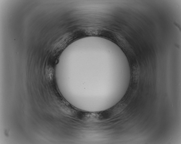 X0000101670125200807241449