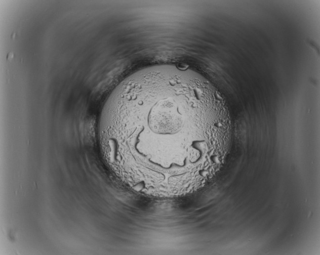 X0000101670127200807241449