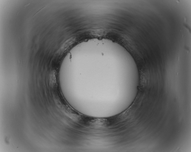 X0000101670128200807241449