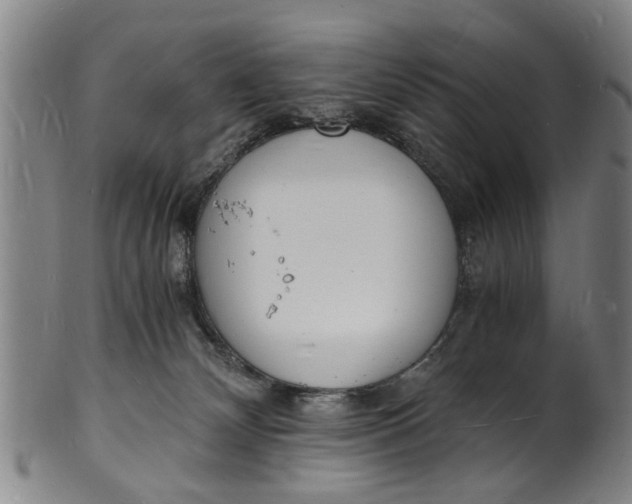 X0000101670132200807241449