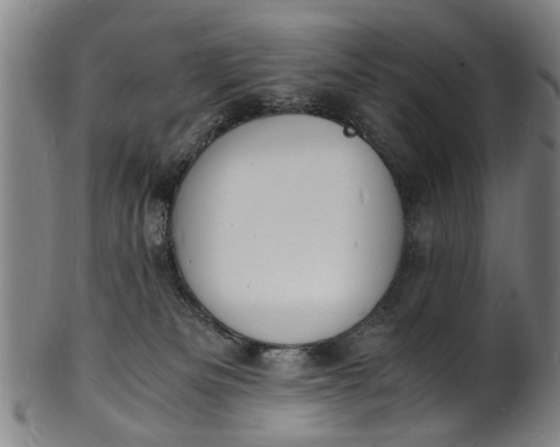 X0000101670133200807241449