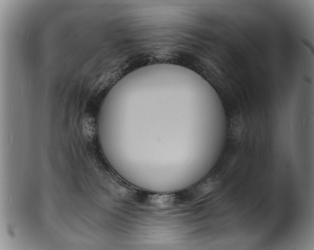 X0000101670135200807241449