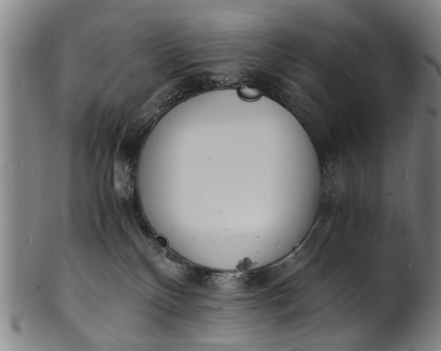 X0000101670136200807241449