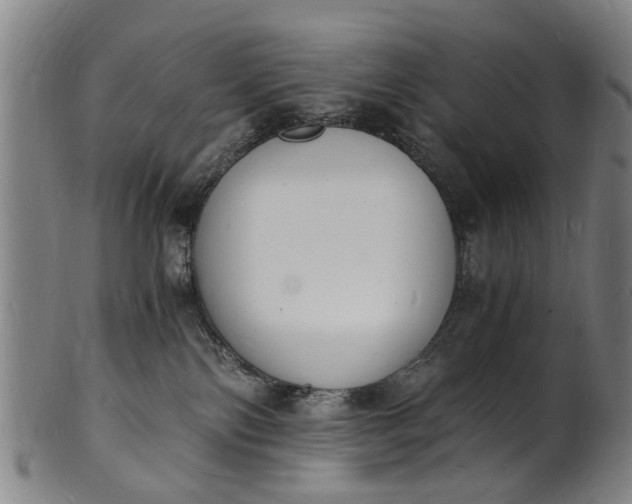 X0000101670138200807241449