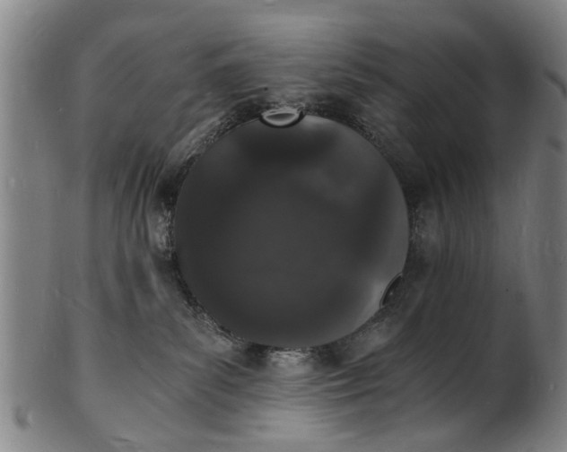 X0000101670139200807241449