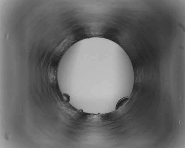 X0000101670140200807241449