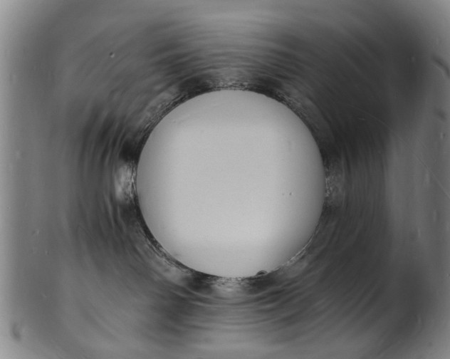 X0000101670142200807241449