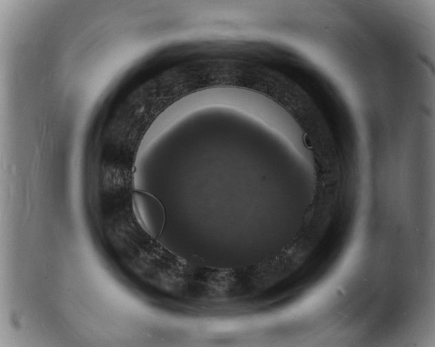 X0000101670143200807241449