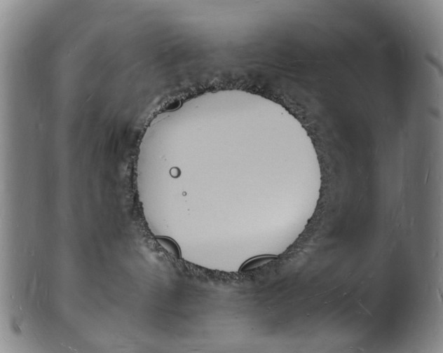 X0000101670144200807241449