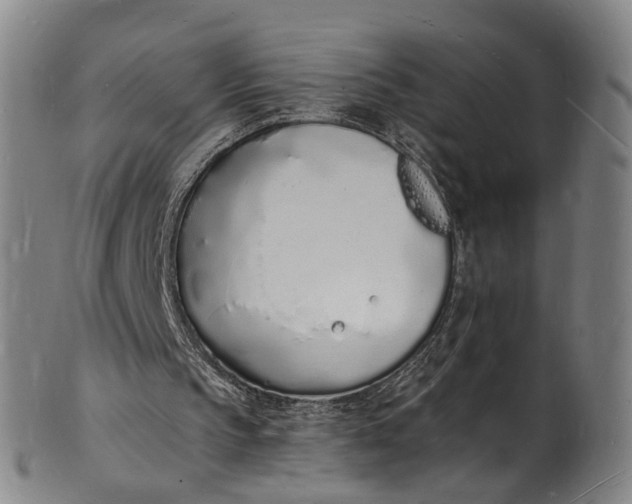 X0000101670145200807241448