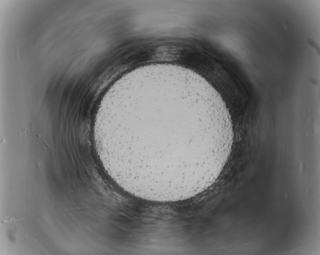 X0000101670146200807241449