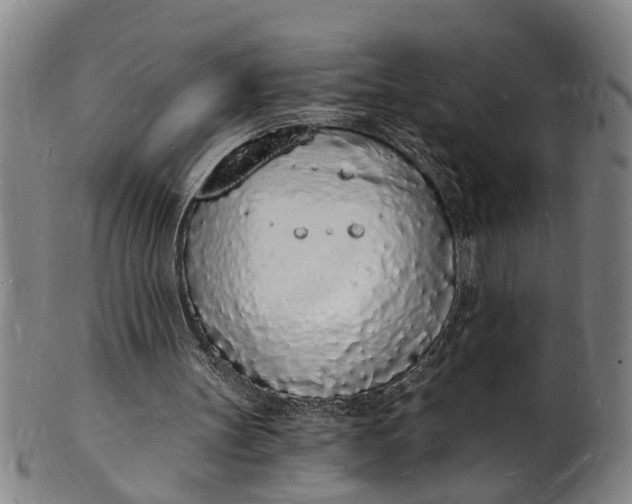 X0000101670147200807241449