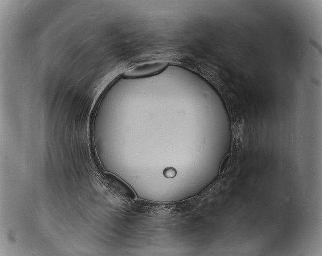 X0000101670148200807241449