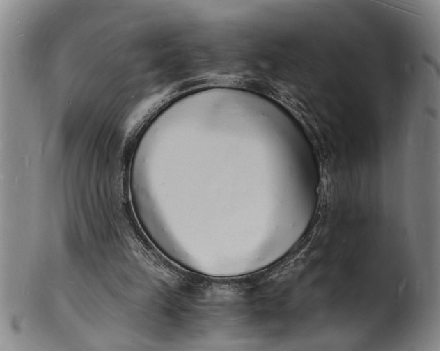 X0000101670149200807241449