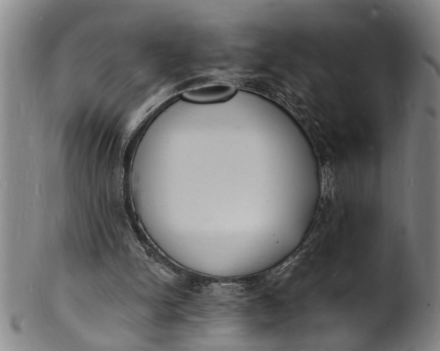 X0000101670150200807241449
