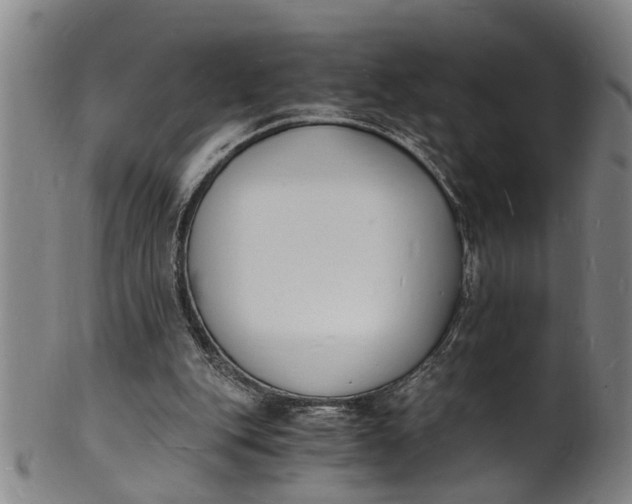 X0000101670151200807241449
