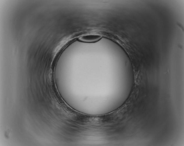 X0000101670152200807241449