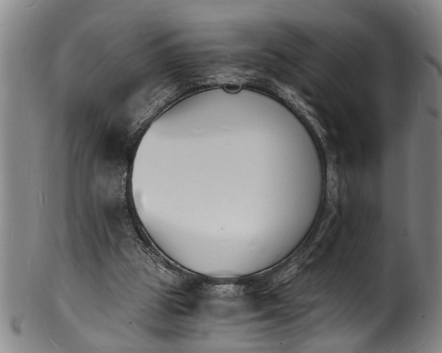 X0000101670153200807241449