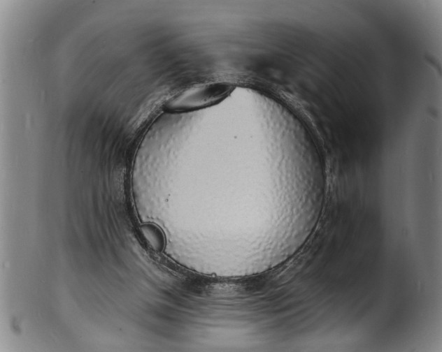 X0000101670154200807241449