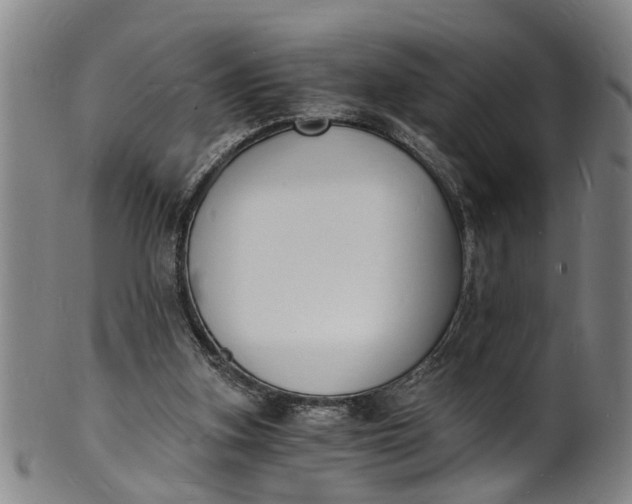 X0000101670155200807241449