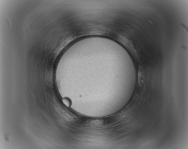 X0000101670156200807241449