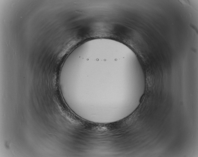 X0000101670159200807241449