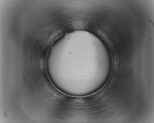 X0000101670161200807241449