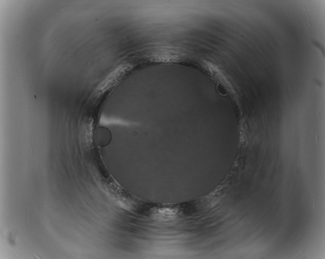 X0000101670163200807241449