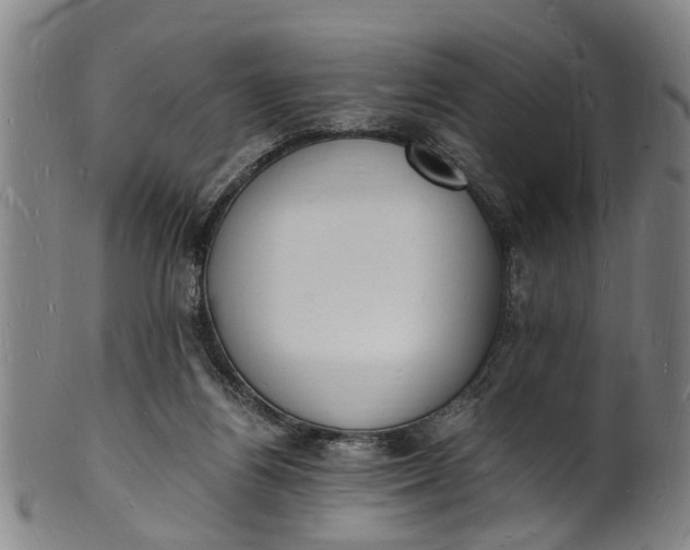 X0000101670164200807241449