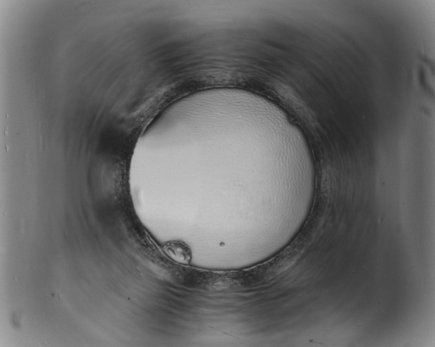 X0000101670165200807241449