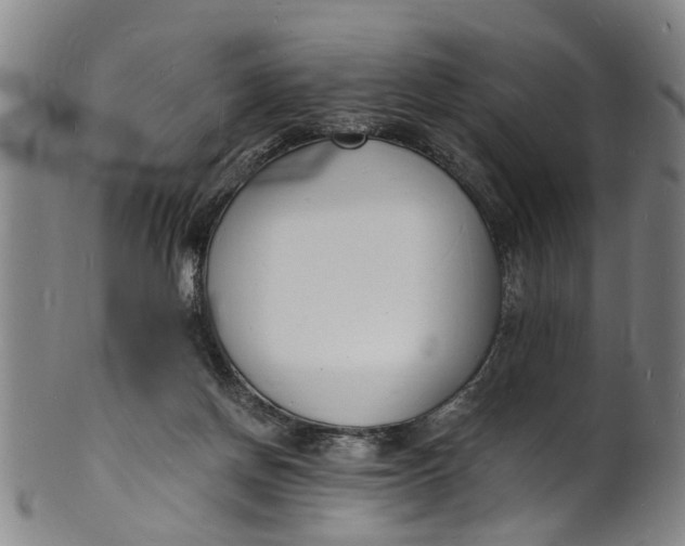 X0000101670166200807241449