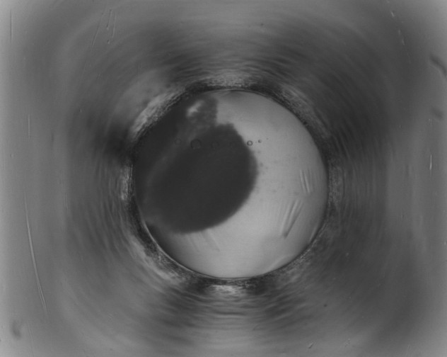 X0000101670167200807241449