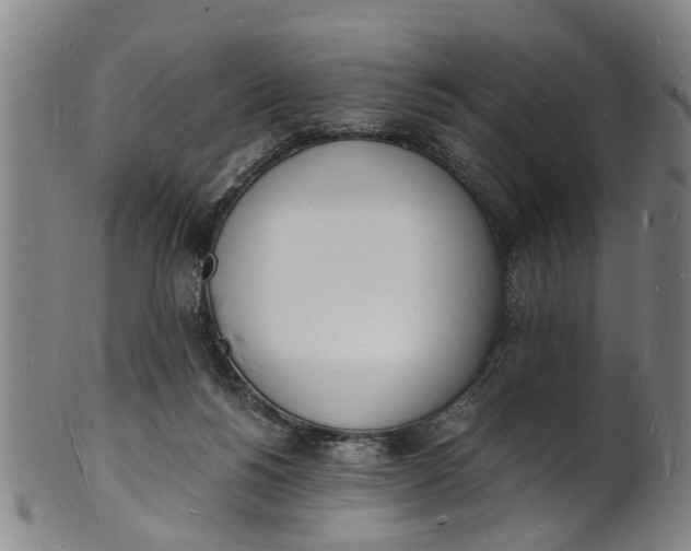 X0000101670168200807241449