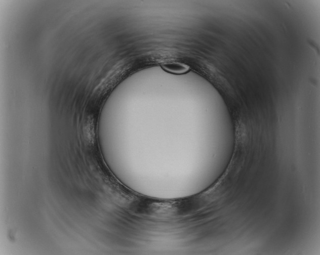 X0000101670170200807241449