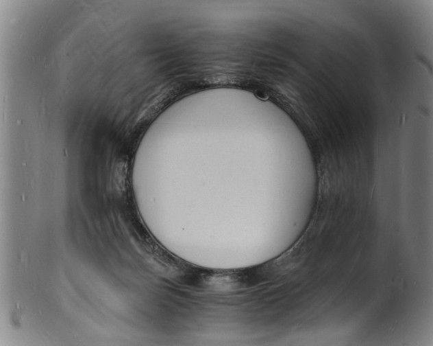 X0000101670171200807241449