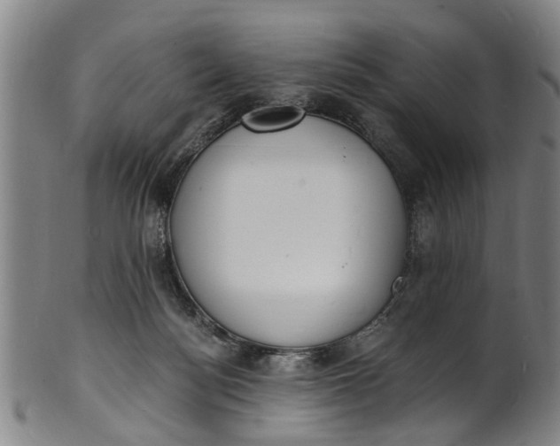 X0000101670172200807241449
