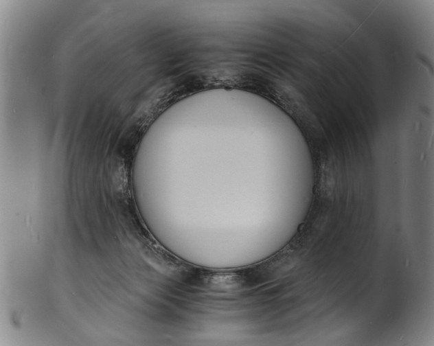 X0000101670173200807241449