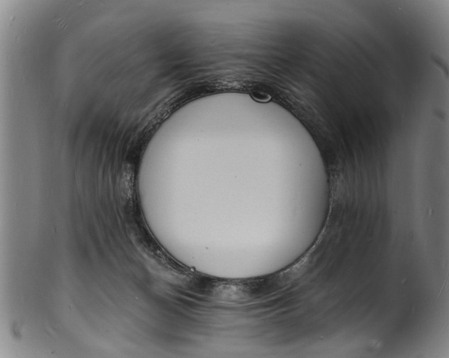 X0000101670174200807241449