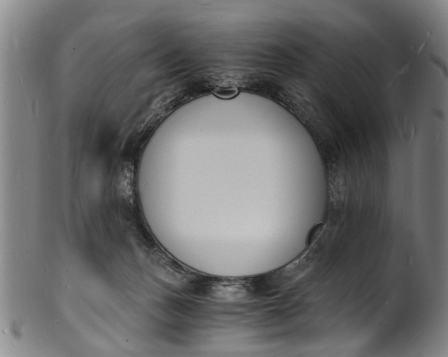 X0000101670175200807241449